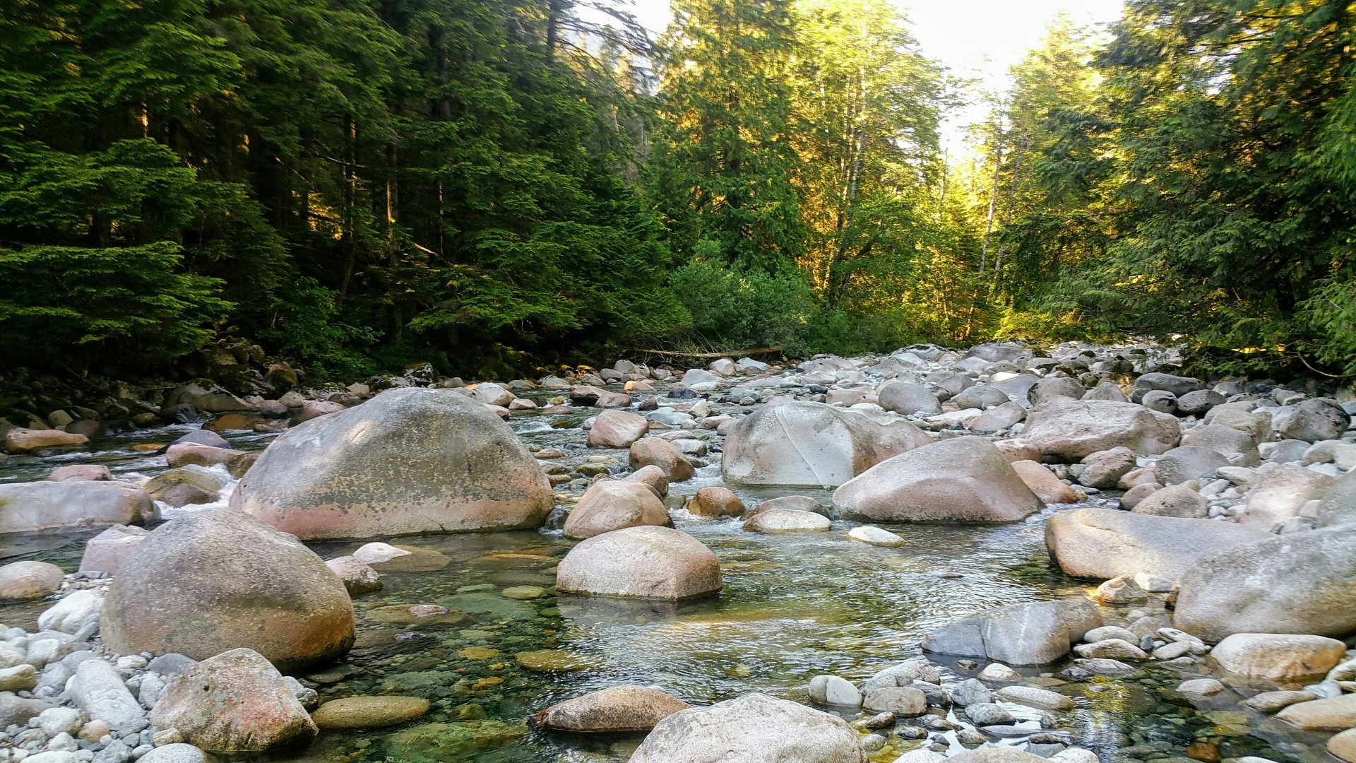 Lynn Creek flowing through old-growth forest in Lynn Valley, North Vancouver